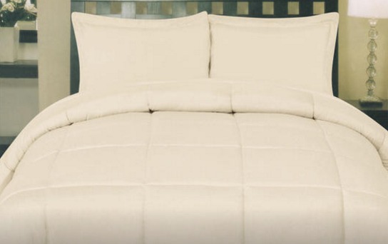 Reversible Goose Down Alternative Comforter—$35.99 Shipped!