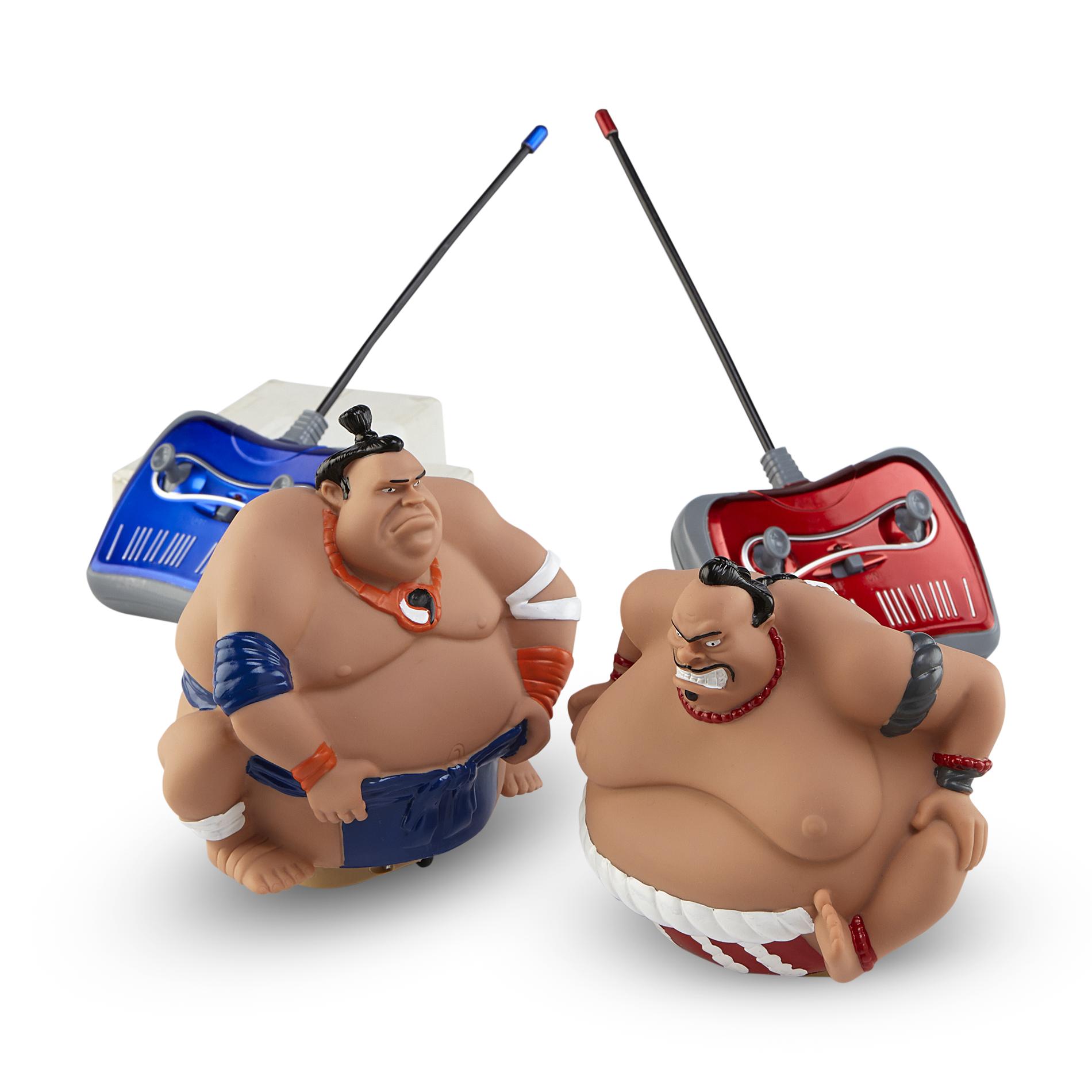 Remote Control Sumo Wrestlers Only 16! Common Sense With Money