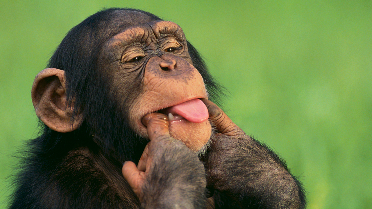 Why Laughter Really IS the Best Medicine Why Laughter Really IS the Best Medicine