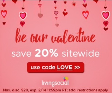 EXTRA 20% Off Living Social Code | Today ONLY!