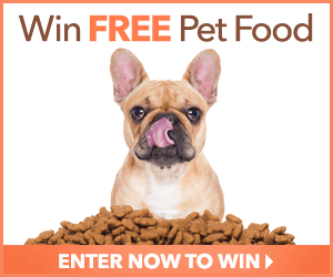 Win FREE Pet Food for a Year From Divine Pets!