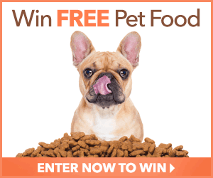 Win FREE Pet Food for a Year From Divine Pets! Win FREE Pet Food for a Year From Divine Pets!