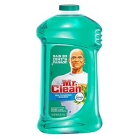 TARGET: Mr. Clean Multi-Purpose Cleaner Only $1.87!