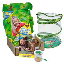 DEAL OF THE DAY – Save 40% on select toys from Insect Lore!
