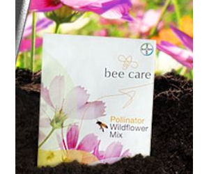 Free Pack of Feed a Bee Wildflower Seed Mix!