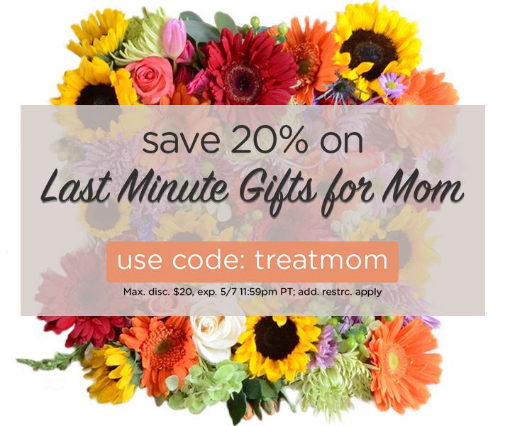 20% Off Living Social | Last Minute Gifts for Mom!