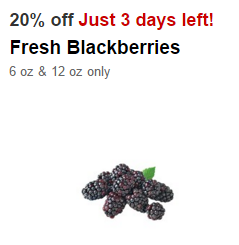 20% Off Blackberries at Target!