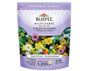 Free Burpee Pollinator Garden Seeds!