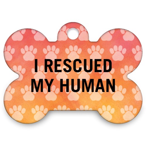 Custom Pet Tag Only $3.99 Shipped! TODAY ONLY!