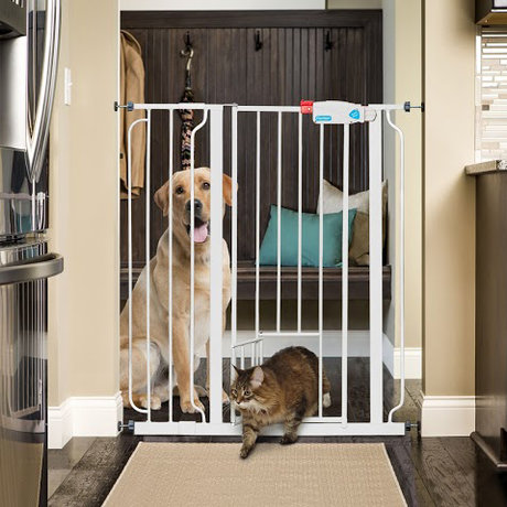Carlson Extra Tall Pet Gate with Small Pet Door – Just $37.99! Free shipping!