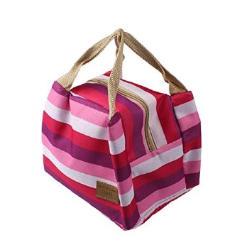 Pink Striped Insulated Cooler Bag Only $3.71 SHIPPED!