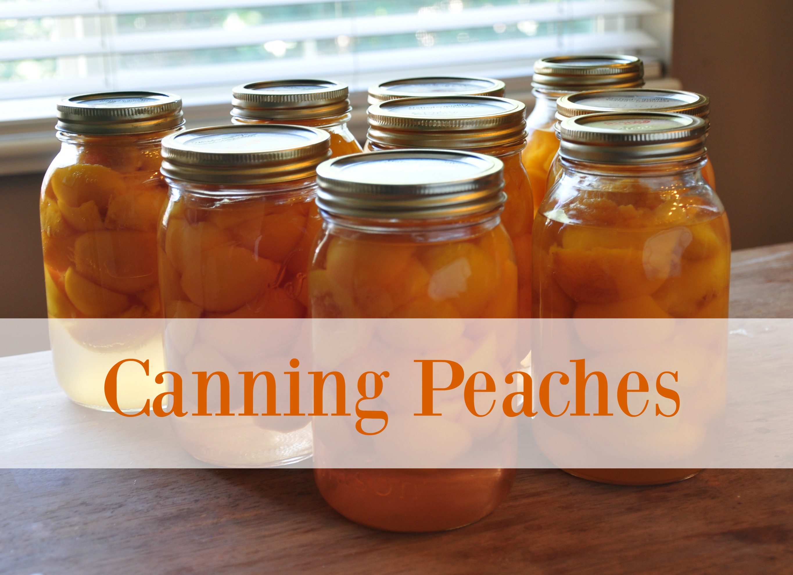 How to Can Peaches! Become More Self-Sufficient With These Step By Step Instructions!