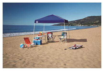 Z-Shade 10’x10′ Instant Canopy Only $44.55! (Reg. $79.99)