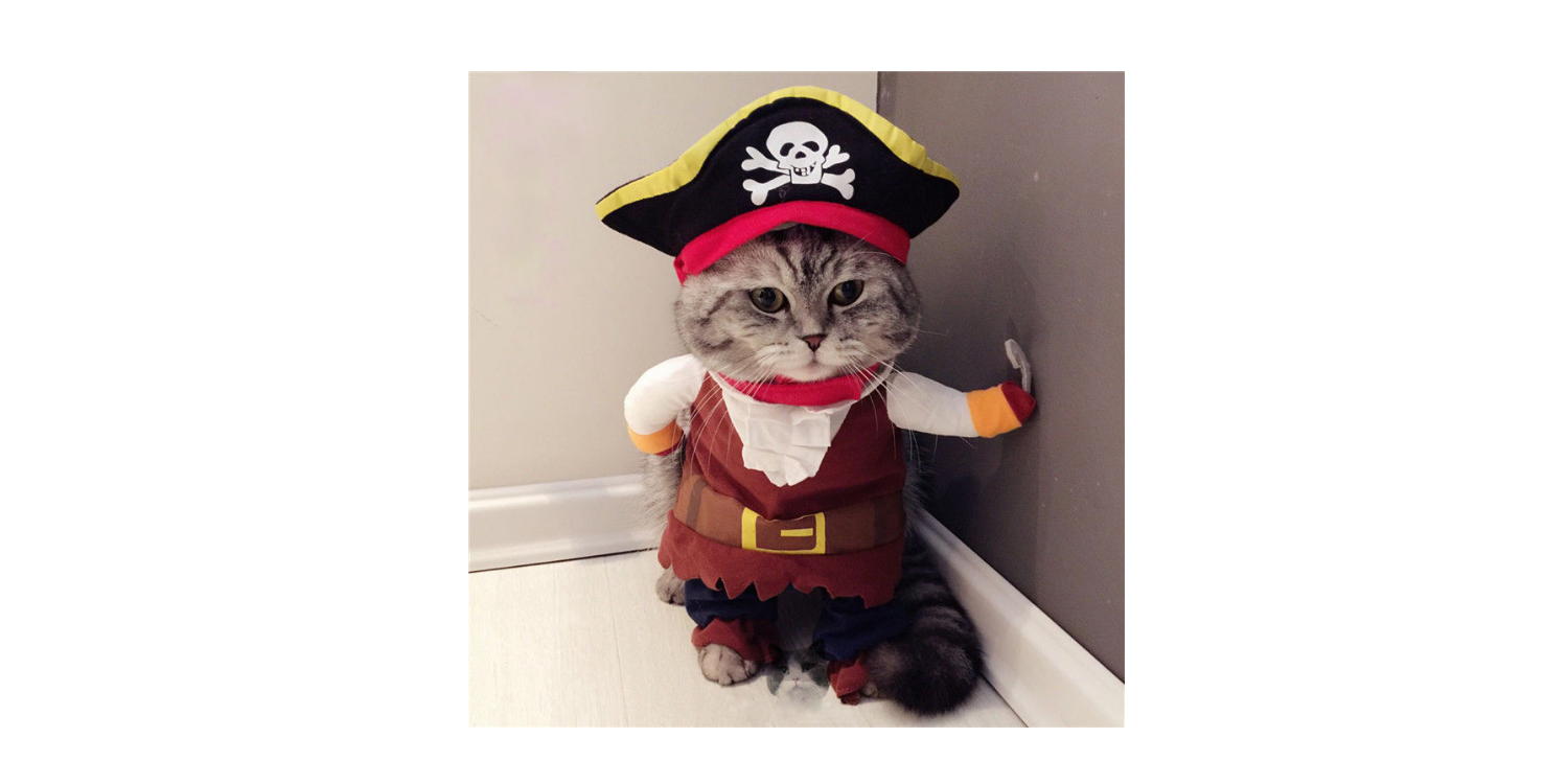 Cat Pirate Costume ONLY $9.49 + FREE Shipping!