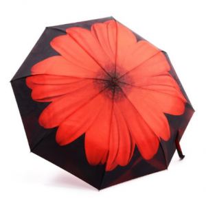 Bright, Flower Umbrella Just $10.99