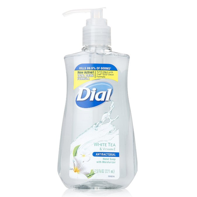 Dial Anitbacterial Liquid Hand Soap (pack of 12) Only $13.40 Shipped! That’s Just $1.12 Each!!