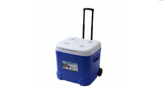 Igloo Ice Cube Roller 60-qt Cooler—$24.99!