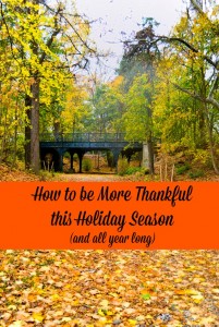 How to be more Thankful This Holiday Season