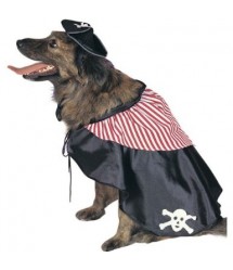 Halloween Pet Costume Blowout! Just $7.99! Free shipping!