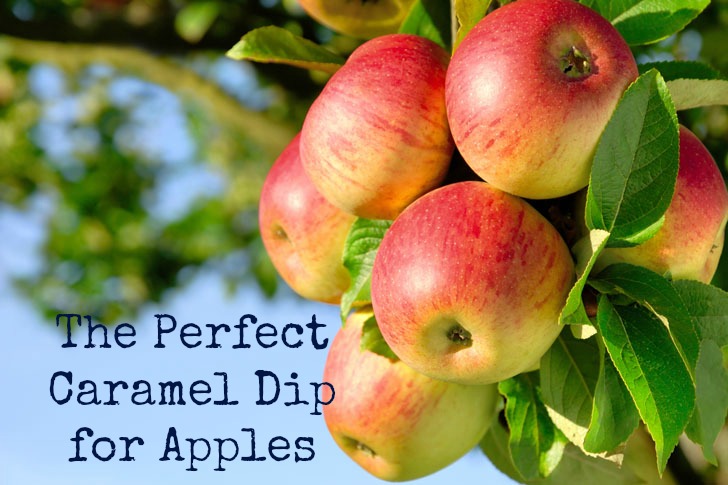 The Perfect Caramel Dip for Apples