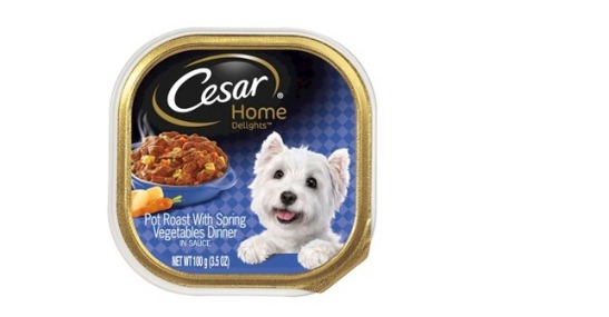 Cesar Wet Dog Food Only 29¢ Each at Target!!