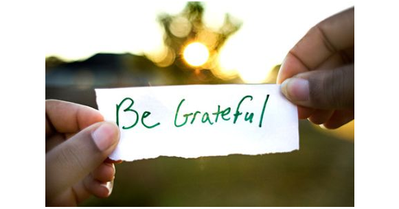 Show Your Gratitude This November! Find Things to Be Thankful For Each Day!