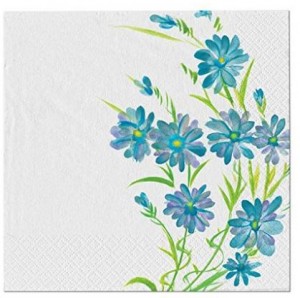 Amazon: Nicole Home Collection 40 Count Everyday Paper Lunch Napkins, Blue Floral Only $1.82!