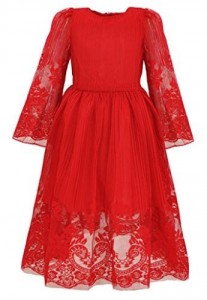 Amazon: Bonny Billy Girl’s Classy Embroidery Lace Maxi Flower Girl Dress as low as $9.99!