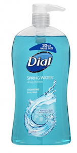 Dial Body Wash Spring Water 32oz Just $3.95 As Add-On Item!