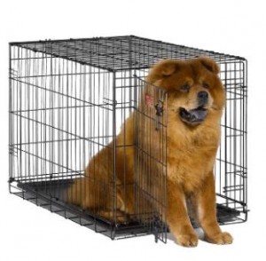 MidWest iCrate Folding Metal Dog Crate – Only $20.99!