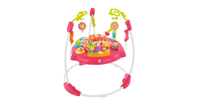 Move Fast! Fisher-Price Pink Petals Jumperoo Only $67.41 Shipped! (Reg. $79) LOWEST Price!