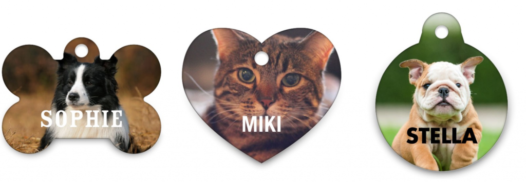 FREE Pet Tag or 16×20 Photo Print From Shutterfly!