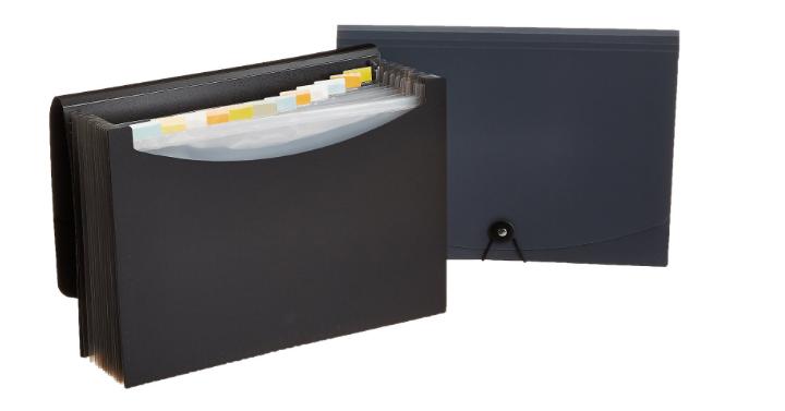 AmazonBasics Expanding File, Letter Size in Black/Gray (2-Pack) – Only $9.99!