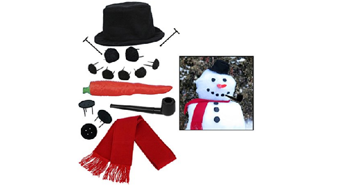 Evelots My Very Own Snowman Kit for only $11.49!