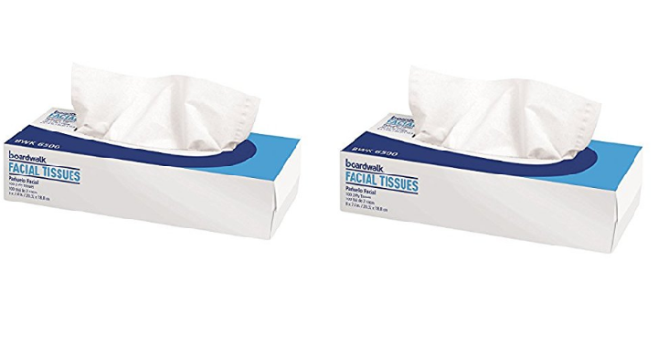 Boardwalk Facial Tissue 2-Ply (30 Packs of 100) for only $16.78! That’s only $0.55 each!