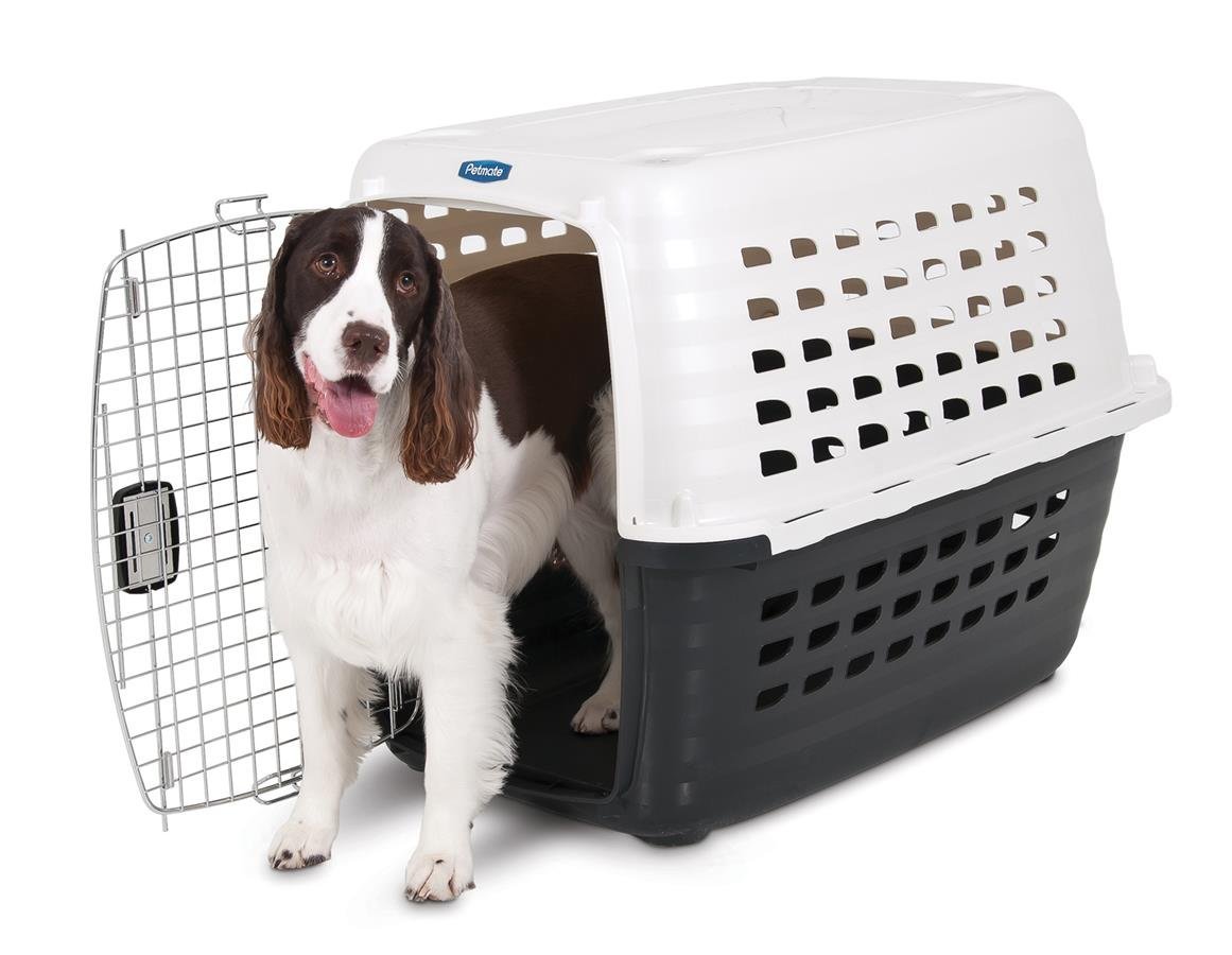 Petmate Compass Plastic Pets Kennel with Chrome Door – Just $16.19!