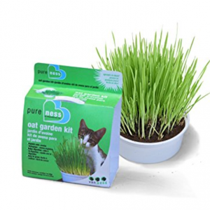 Pureness 1oz Oat Garden Kit for Cats Just $3.25!