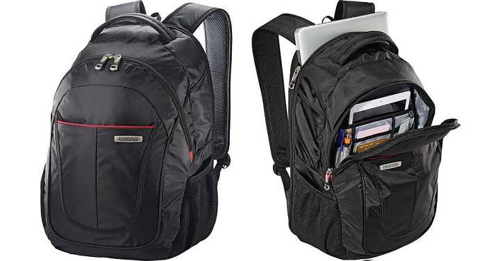 American Tourister Business Backpack Only $24.00 Shipped! (Reg $44)