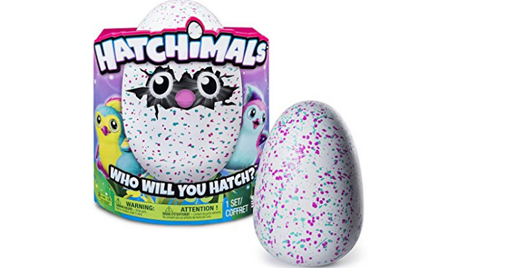Hatchimals Penguala – Teal/Pink Only $59.99 Shipped!