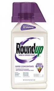 Roundup Weed and Grass Killer Super Concentrate, 35.2 Oz – Only $7.87!
