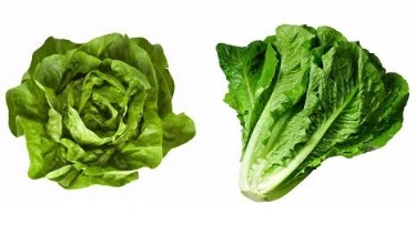 Save 25¢ on Lettuce This Week With SavingStar!