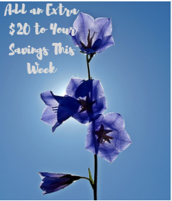 Add an Extra $20 to Your Savings This Week