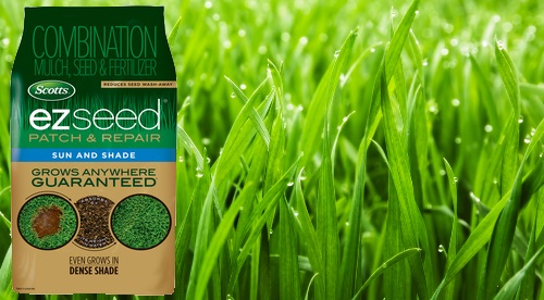 50% OFF Scott EZ Seed Grass Seed at Home Depot and Lowe’s!! From $7.24!