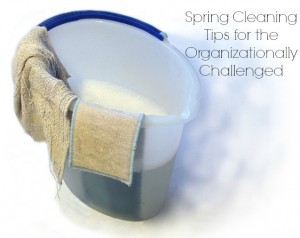 Spring Cleaning Tips for the Organizationally Challenged