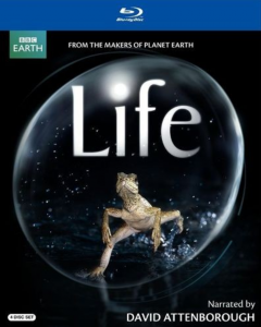 Life 4-Disc Blu-Ray Just $14.99! (Reg. $57.99) From The Makers Of Planet Earth!