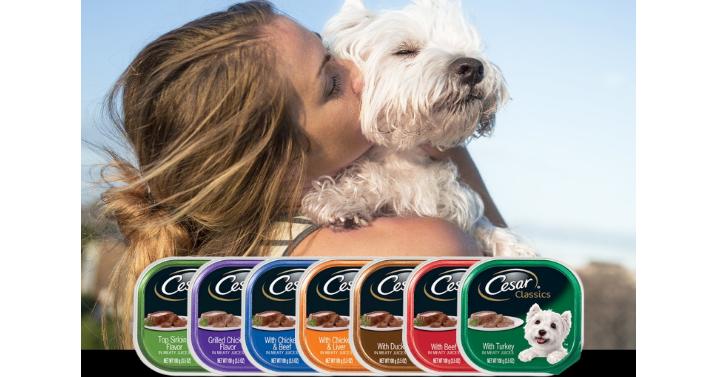 CESAR Classics Adult Wet Dog Food – Only $8.15!