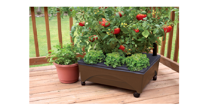 Earth Brown Raised Garden Bed Only $19.98! (Reg. $29.98)