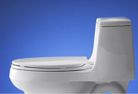 KOHLER Brevia with Quick-Release Hinges Elongated Toilet Seat – Only $14!