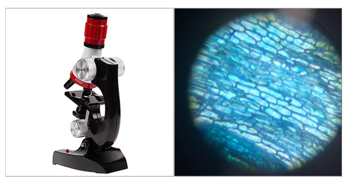1200X Microscope Kit Only $10.50 + FREE Shipping!