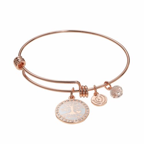 Kohl’s 30% off! Earn Kohl’s Cash! Stack Codes! Free shipping! love this life “Family” Tree Charm Bangle Bracelet – Just $9.51!